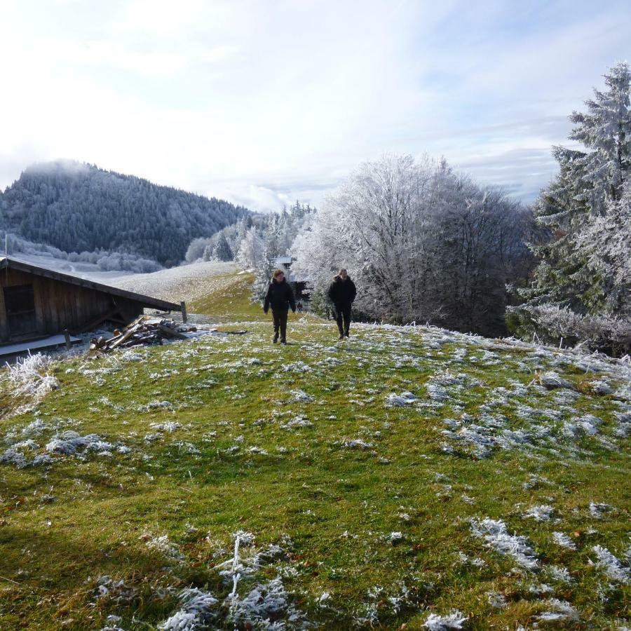 Les Sapins Blancs Leilighet Vacheresse Eksteriør bilde